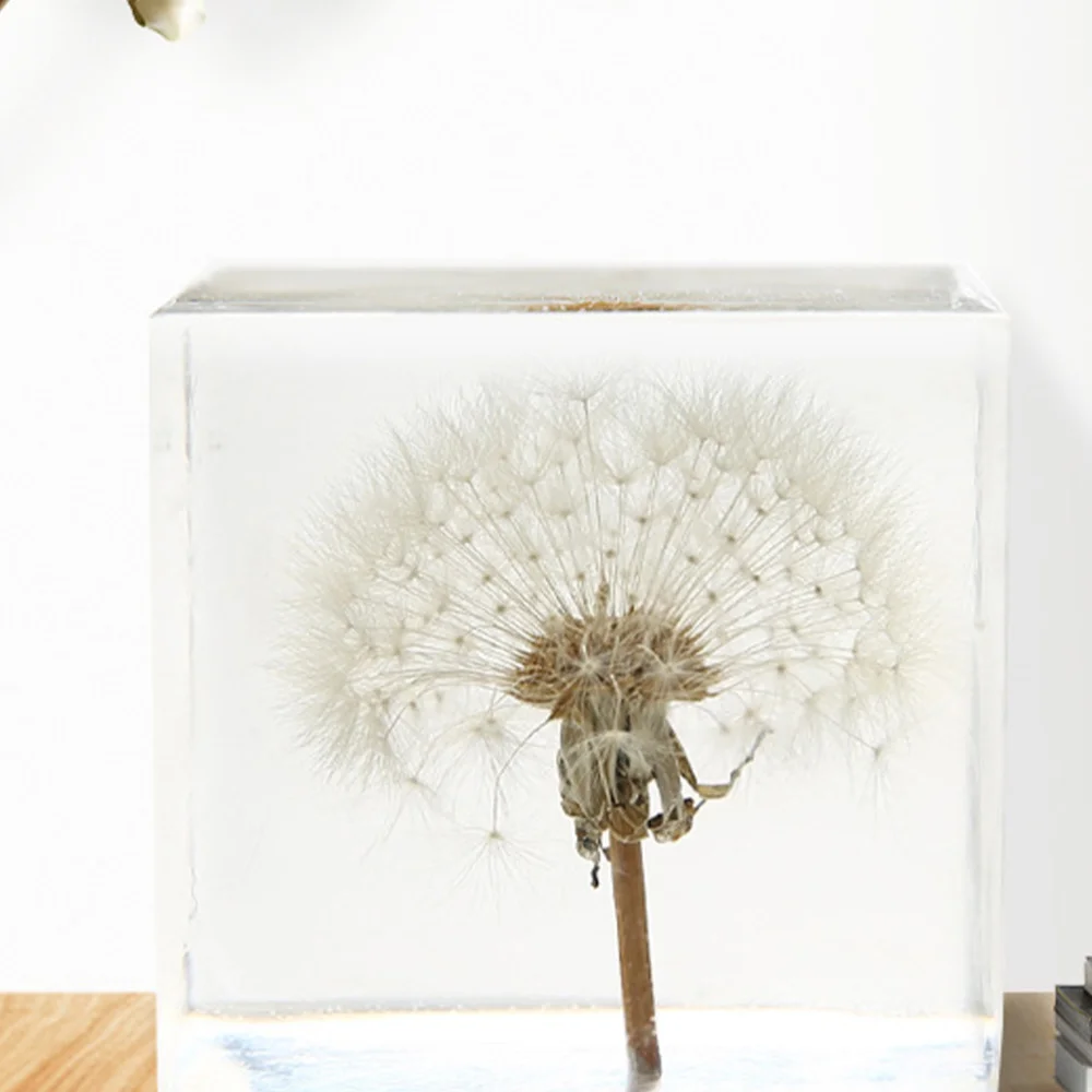 

Cube Desktop Decoration Creative Dandelion Transparent Craft Adornment Gift for Home Office