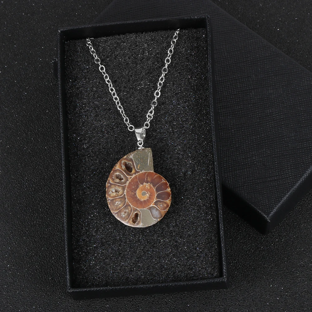 Женский и мужской натуральный окаменелостей аммония кулон Улитка ожерелье океан