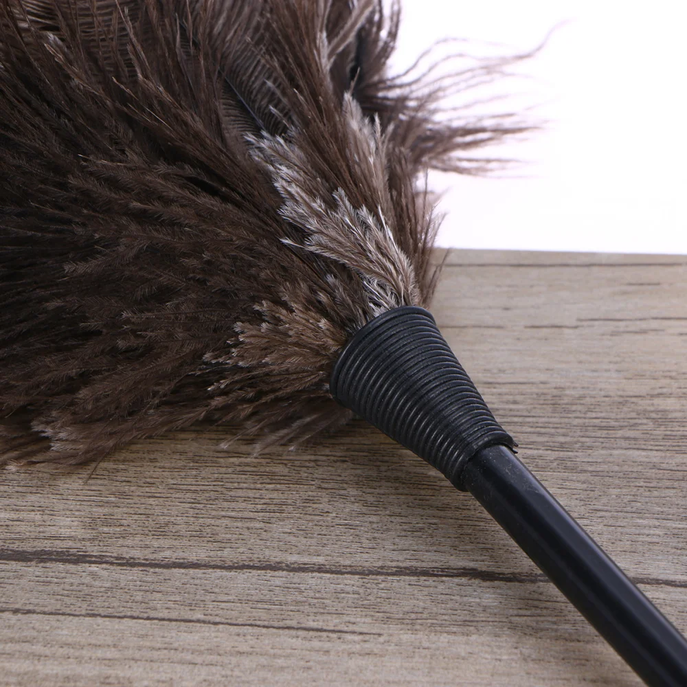 

Duster Feather Dusters with Long Handle Cleaning Brush Tool