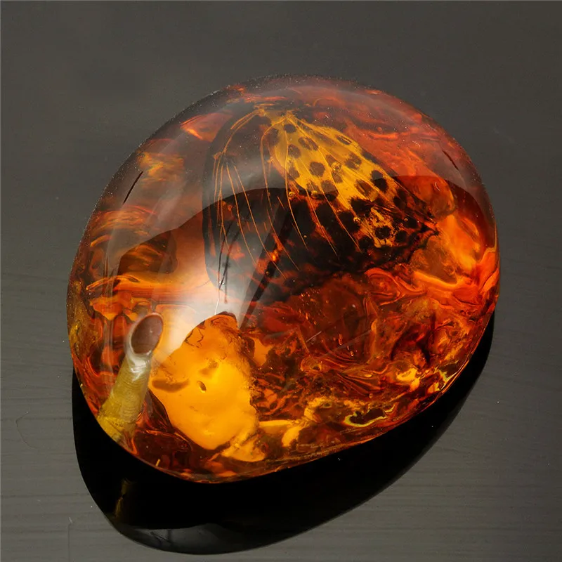 5*4 см Красивая Янтарная бабочка насекомые каменная Подвеска Ожерелье для