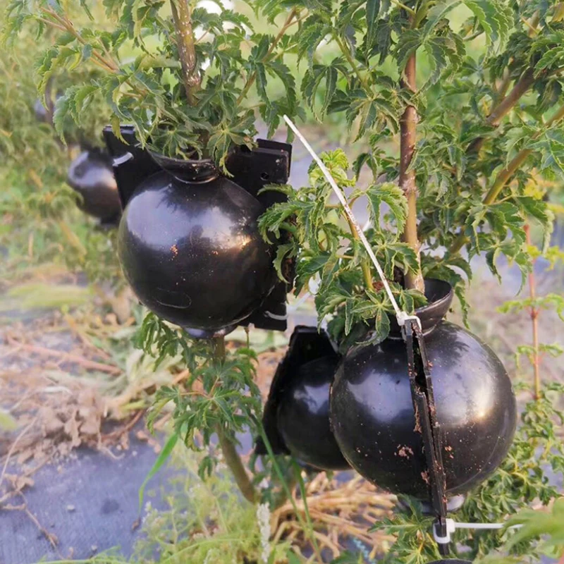 

Plant Rooting Ball Grafting Rooting Growing Box Seedling Bag Breeding Case Garden Plant High Pressure Propagation Box Sapling