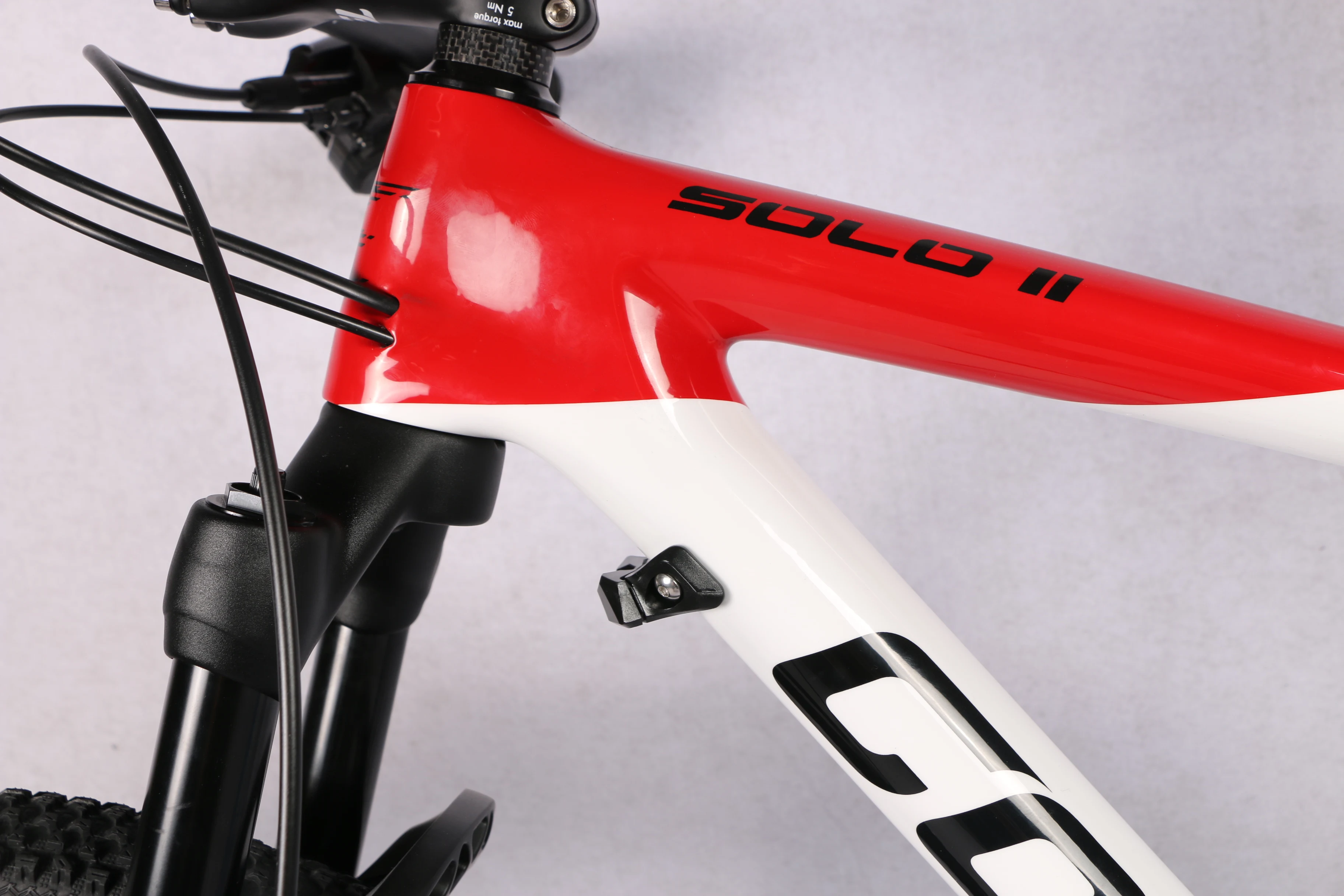 Costelo SOLO 2 Карбон полный горный Mtb велосипед 29er через ось карбоновые рамы карбоновые колеса с оригинальными коллекциями