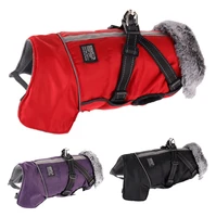 dog coat suitable for outdoor activities waterproof reflective detachable chest back dog pet supplies