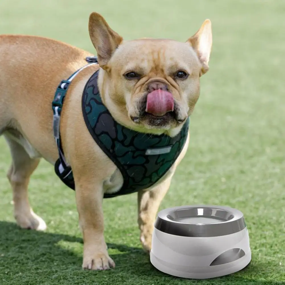 

Pet Car Bowl Anti-Spill Bottom Dog Feeding Water Dish Anti-Skid Pets Dog Cat Travel Bowls Drinking Feeder