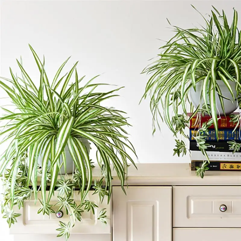 

65cm Artificial Simulation Flower Plants Odorless Realistic Full Wall Hanging Chlorophytum Versatile Durable Plastic Potted
