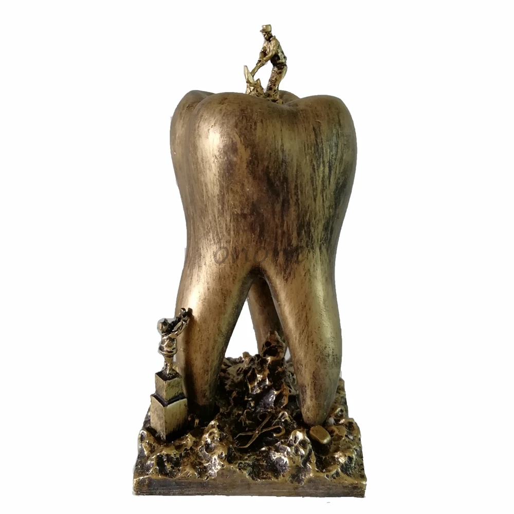 

1pcs Dental Artware Teeth Model Dentist Patient Student Learning Model Clinic Decoration Furnishing Articles