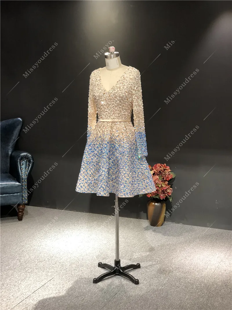 ElieSaab 2021 Champagne Blue Evening Dress Real Photo High Quality Customized Long Sleeves Short Length Prom Party Dancing Dress