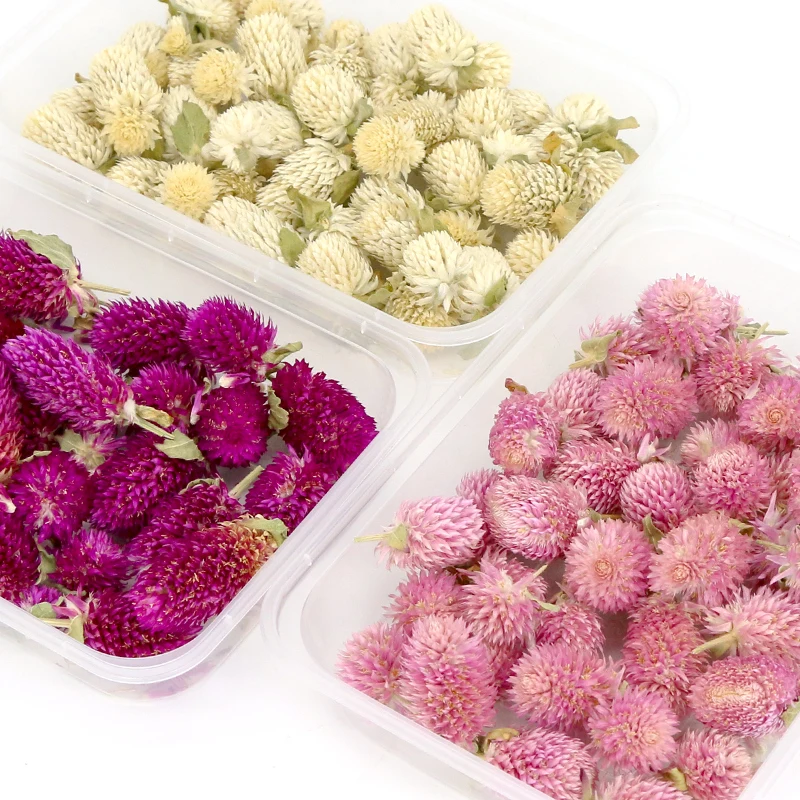 DIY настоящие натуральные сушеные цветы сухие растения хризантема искусственная