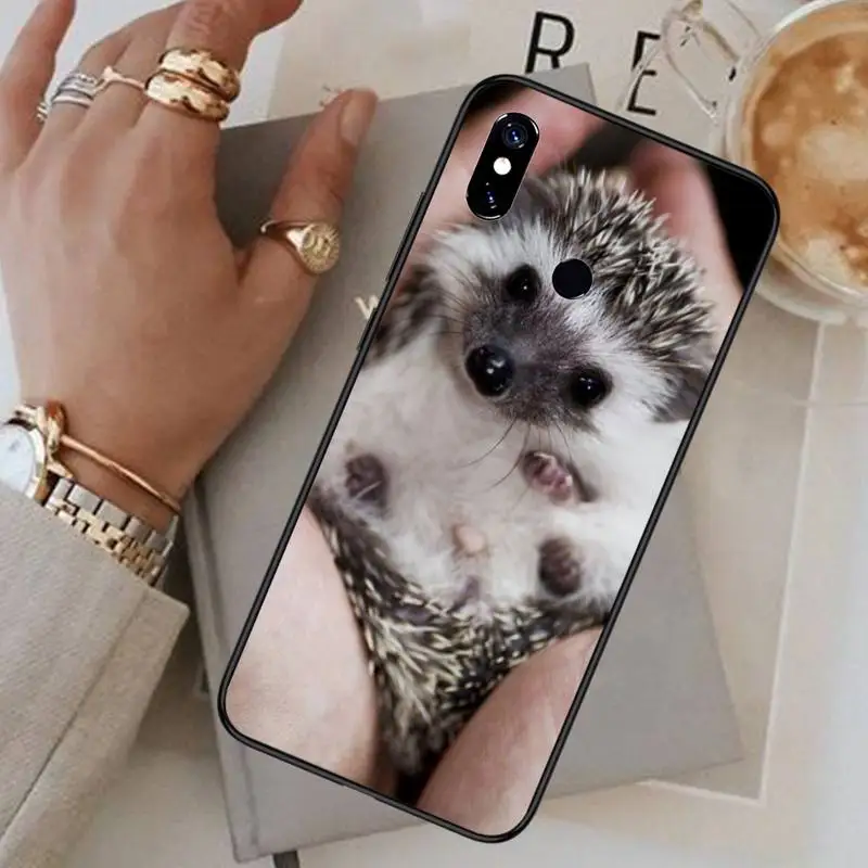 

Hedgehog Phone Case For Xiaomi Redmi note 7 8 9 pro 8T 9S Mi Note 10 Lite pro