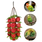 Мячи из ротанга для домашних животных, интерактивные игрушки для жевания, жевательная подвесная клетка для попугаев, качели для восхождения на пружину, для обучения попугаям