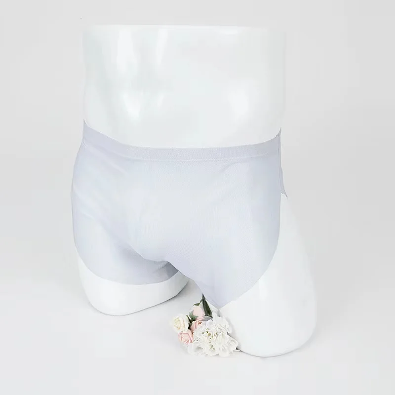 2021 Summer Mesh Men Underwear Seamless Transparent Boxer Shorts Ultra Thin Sheer Breathable Comfortable Panties Underpants