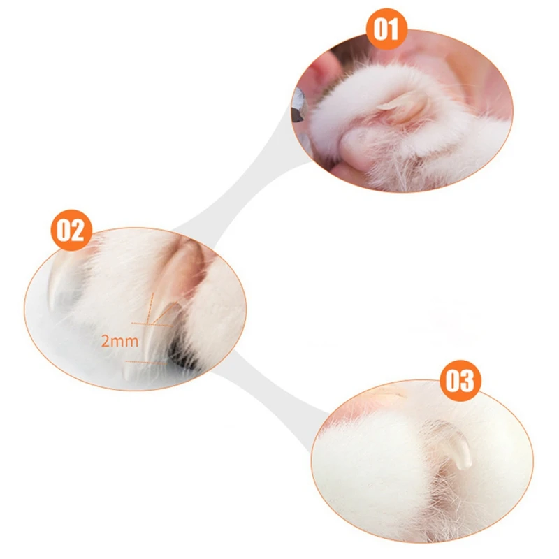 Pet нержавеющая сталь косметические щипчики для ногтей Ножницы триммер