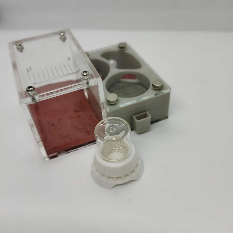 Серый муравьиный гнездо 3D плоское акриловая муравьиная мастерская замок для