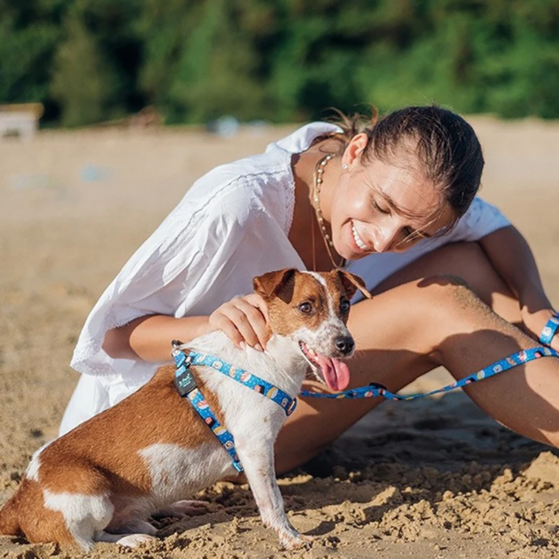 Поводок для домашних собак 2020 новые суши сигареты напечатанные регулируемые i