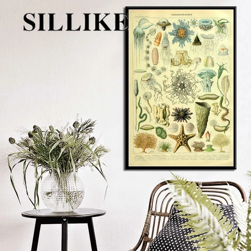 

Marine marine life shell fish animal retro illustration hight quality home Decor No Frame Kraft paper poster