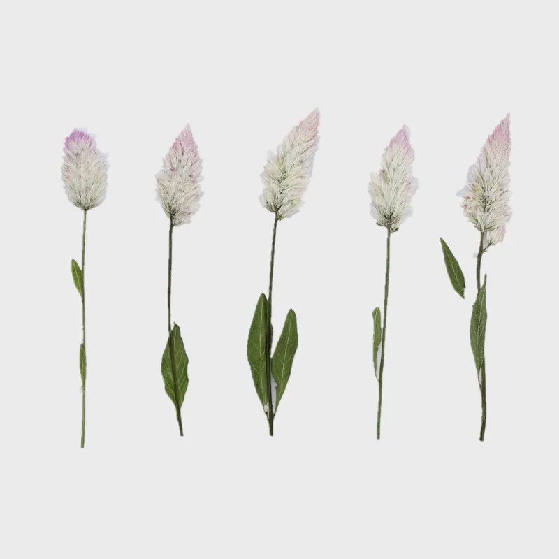 Фоторамка с высушенными цветами клей для самостоятельной сборки | Украшения и