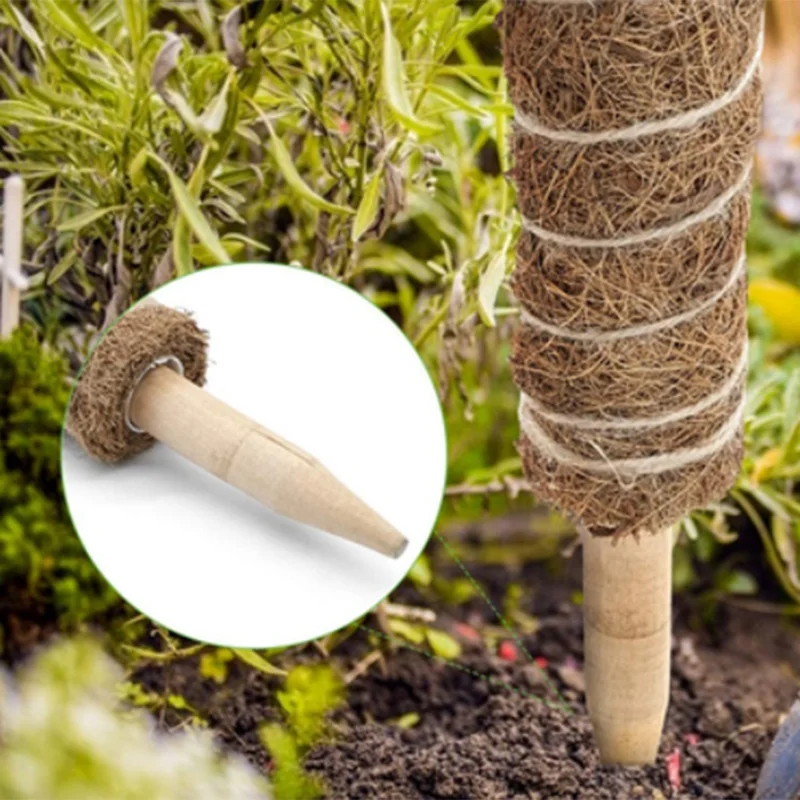 Garden home decor interior decoration 12PC Moss Poles - Cocoa G | Дом и сад