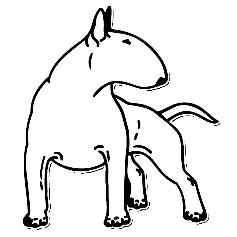 

Personality Bull Terrier Dog Car Bumper Stickers Funny Decals Car Styling Decoration Accessories Black/Silver 12cmX14cm