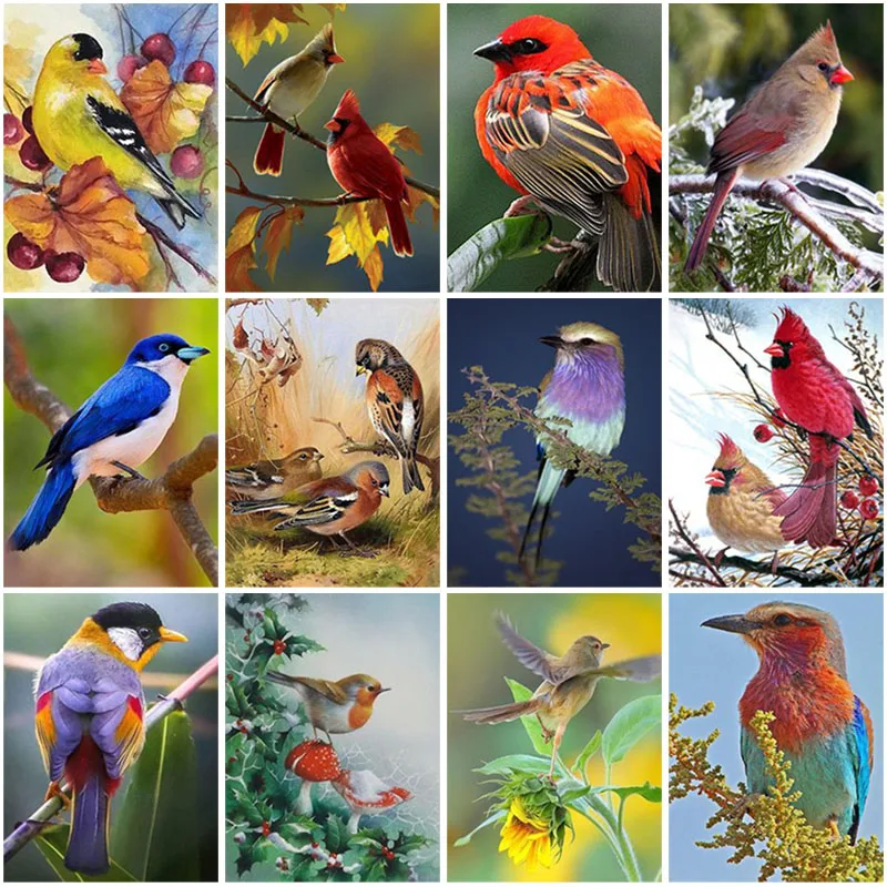 

DIY Birds 5D Diamond Painting Full Square Drill Animal Diamond Embroidery Cross Stitch Kit Mosaic Gift Resin Wall Art Home Decor
