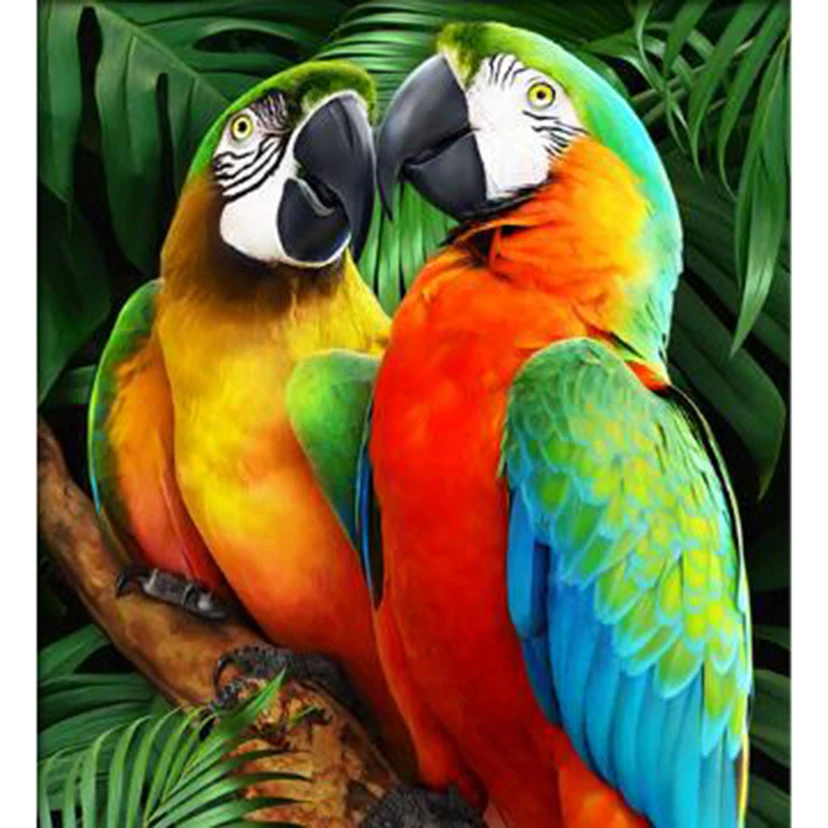 

5D DIY Diamond Painting Square/Round Diamond Animal Painting Two Parrot Pictures Cross Stitch Furniture Decoration Artwork TX049
