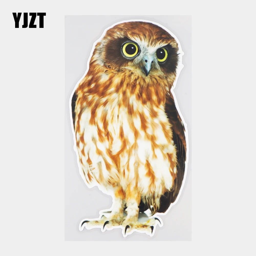 

YJZT 11×20.5CM Cute Owl Animal Body Decoration Car Stickers Window Windshield Funny Cartoon Decals 21A-0559