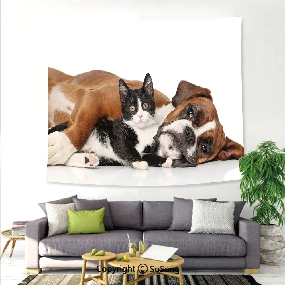Кошка и собака лежащая на полу тема дружбы Симпатичные животные настенная
