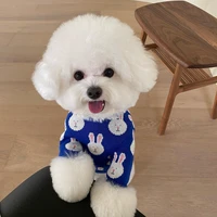 ins hot rabbit dog hoodie pet clothes stylish streetwear cotton sweatshirt fashion outfit for dogs cats puppy small medium teddy