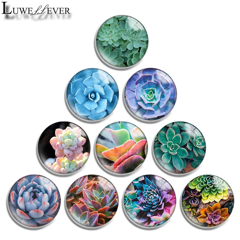 

12mm 14mm 16mm 20mm 25mm 30mm 601 Succulents Mix Round Glass Cabochon Jewelry Finding 18mm Snap Button Charm Bracelet