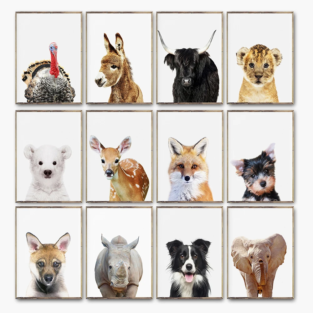 

Baby Rhino Set of 12 Print Minimalist African Animal Elephant Border Collie Dog Pictures Nursery No Frame Wall Painting