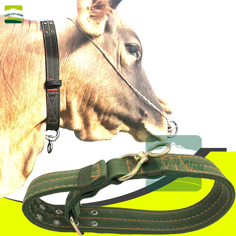 

Canvas tying cattle neck sleeve tied cattle special rope tied cattle rope set collar thick wear-resistant breeding ring collar
