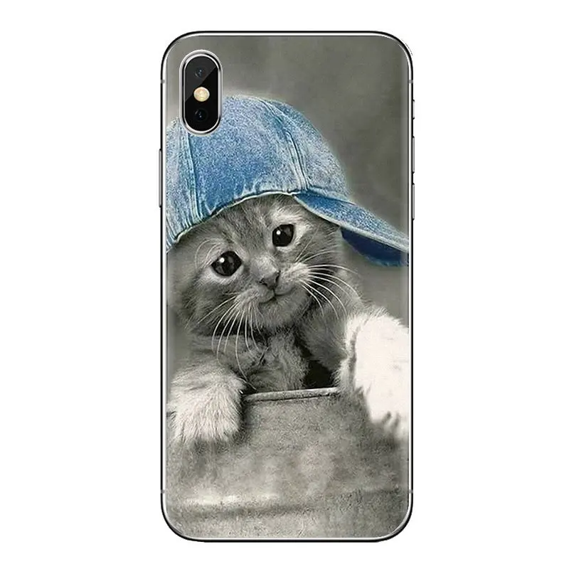 Мягкие прозрачные чехлы с милыми котятами голубыми глазами для Xiaomi Redmi 4 3 3S Pro mi 4i 4C