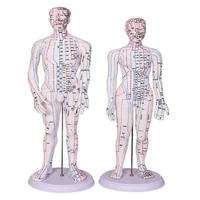 50cm male lettering acupuncture point body mannequin of acupuncture medical research massage reflex zone teaching model c518