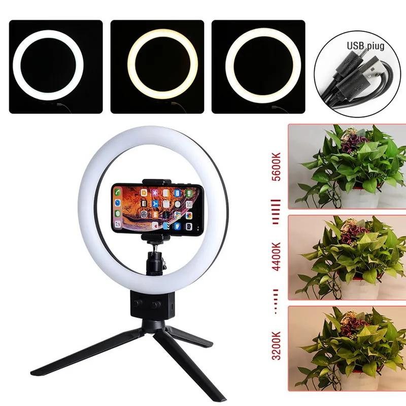 

7 Inch Stepless Dimming Dual Color Temperature Led Ring Light Plus Mini Bracket Set