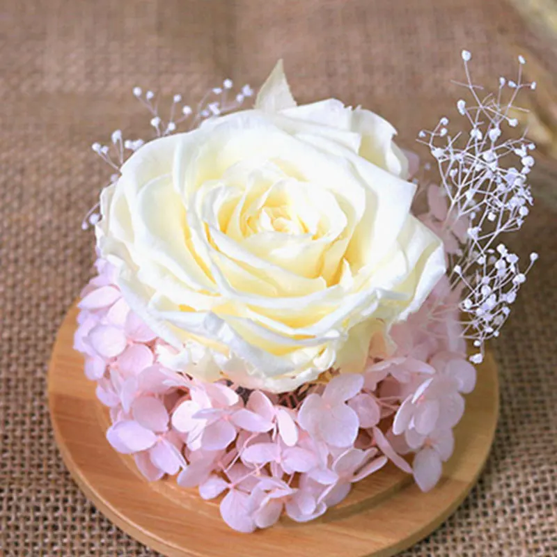 

2019 Glass Display Cloche Bell Flower Jar Dome Immortal Preservation with Wooden Base Wedding Party Decoration Birthday Gift
