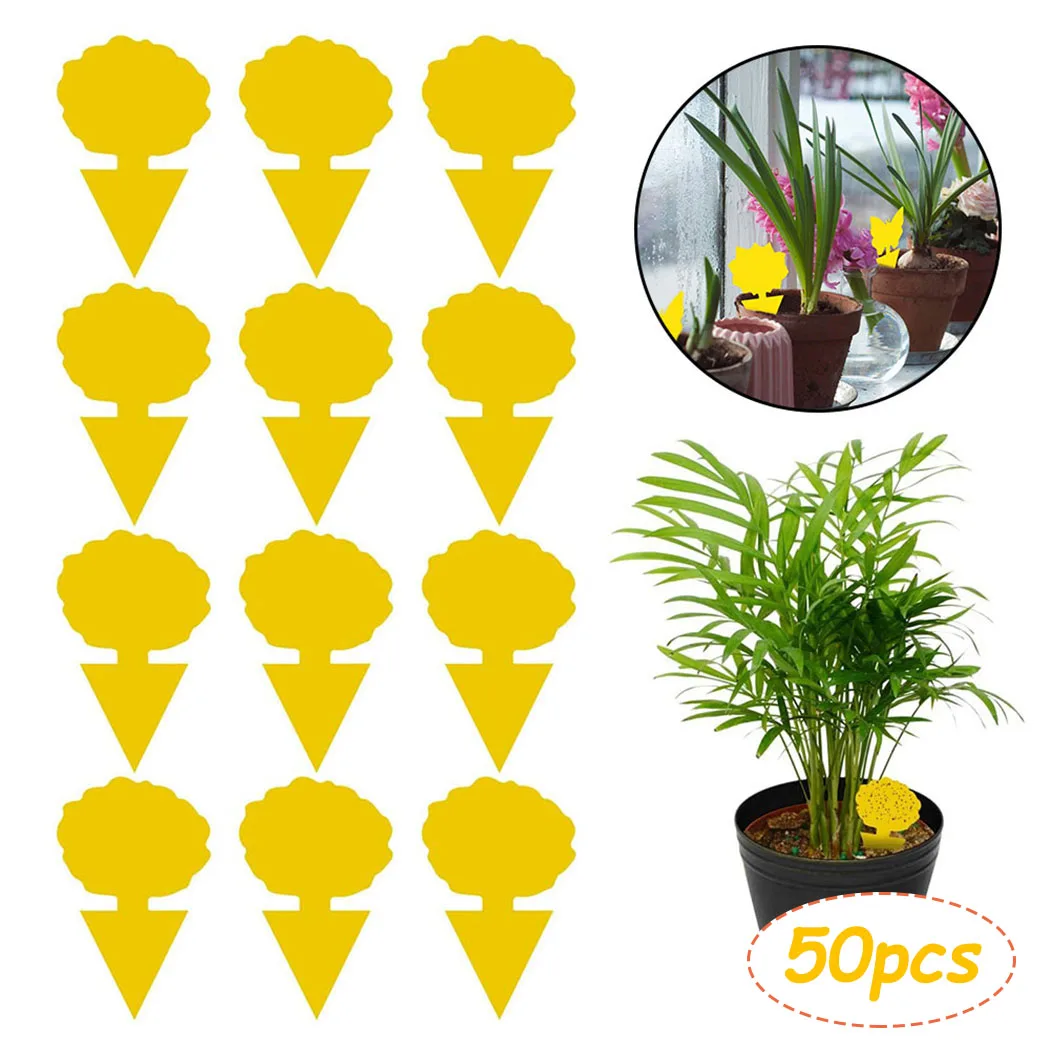 

Green house Fly Trap Potting 50PCS Long lasting Yellow Fruit Flies Insect
