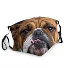 Маска для французского бульдога, маска для животных неодноразовая многоразовая защитная маска для взрослыхдетей, маска для французского бульдога