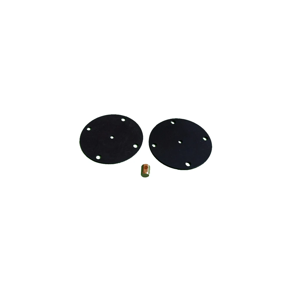 CNG pressure BRC reducer valve core CNG pressure reducer repair kit