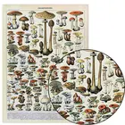 Винтажные плакаты с энциклопедией Адольфа миллота, плакаты с бабочками, грибами, травами, цветами, насекомыми, классические картины на холсте, наклейки на стену