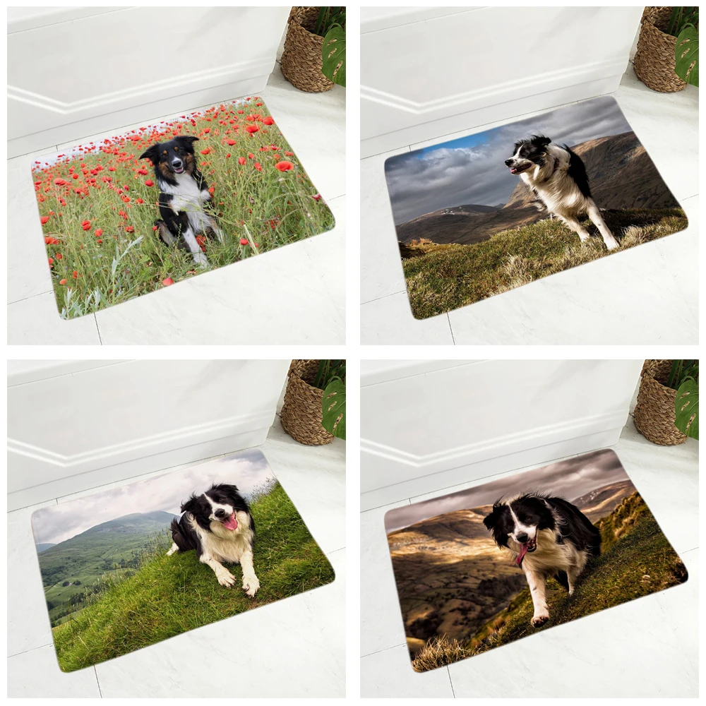 

Pet Dog Animal Door Mat Non-Slip Doormat Flannel Carpet Floor Mat for Bedroom Hallway Decor Scotland Border Collie Rug 40x60cm