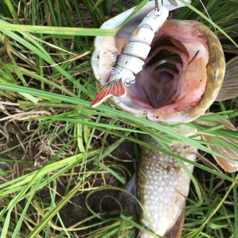 Приманка рыболовная тонущий воблер жесткая наживка для щуки форели | Спорт и