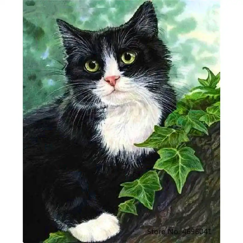 Раскрашивание по номерам рамки домашнее украшение фотографии животных