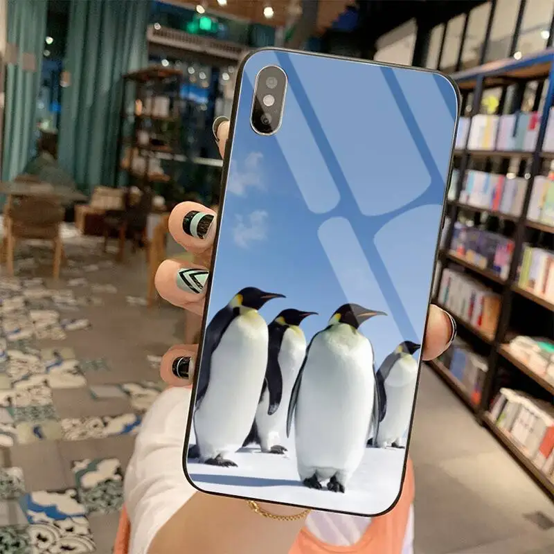 KPUSAGRT милый Пингвин мягкий резиновый чехол для телефона закаленное стекло iPhone 11 Pro