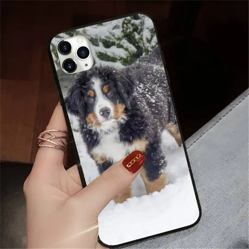 

Bernese Mountain Dog Phone Cases for iPhone 11 12 pro XS MAX 8 7 6 6S Plus X 5S SE 2020 XR