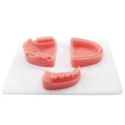 Стоматологический модуль для тренировки шва полости ртадесен, силиконовая модель шва, обучающая модель зубного шва