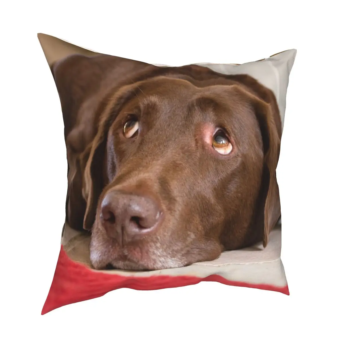 

Шоколадный лабрадор щенок наволочка с глазами Печатный чехол для подушки из полиэстера украшения для собак, скидка, накидка для подушки, де...