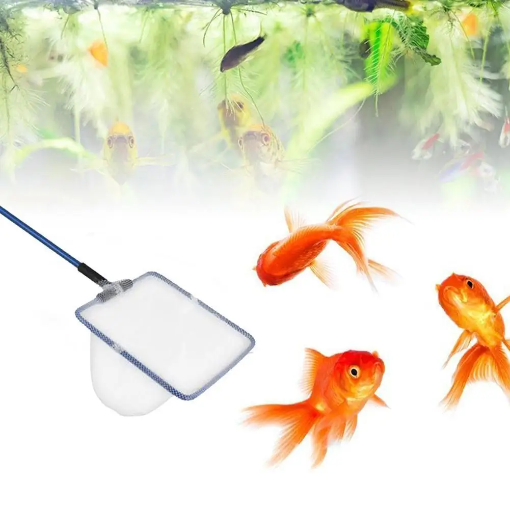 

Metal Frame Aquarium Goldfish Fish Landing Net 8.5x6/10x8.5/13.3x10.8/15.3x12cm Net Goldfish Fish Metal Landing Aquarium Fr H1S7