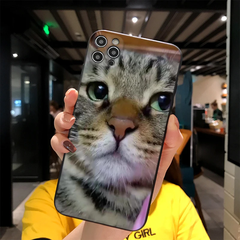 

For iPhone Caterpiano Print Soft Matt Apple Case 6 7 8 11 12 Plus Pro X XR MAX 2021 Cover