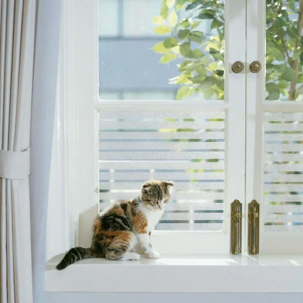 Оконная пленка BUNPIG для конфиденциальности статическая липкая не клейкая