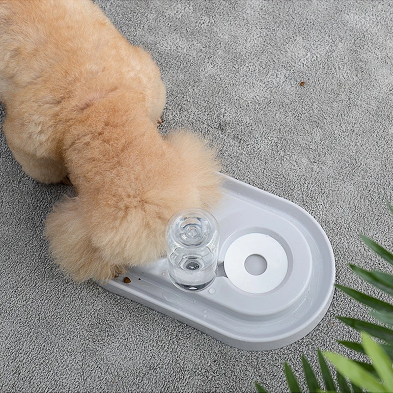 Новинка 2020 питьевая миска для кошек котят питьевой фонтан блюдо еды домашних