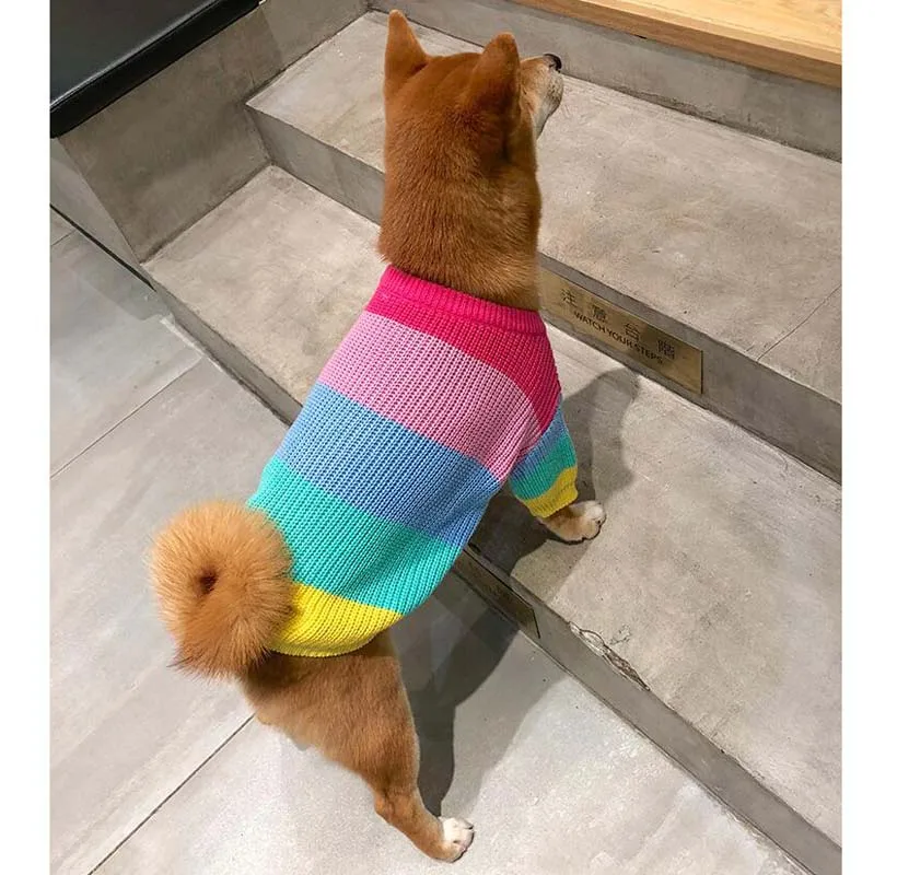 Милый свитер в радужную полоску для собак пуловер с индивидуальным дизайном